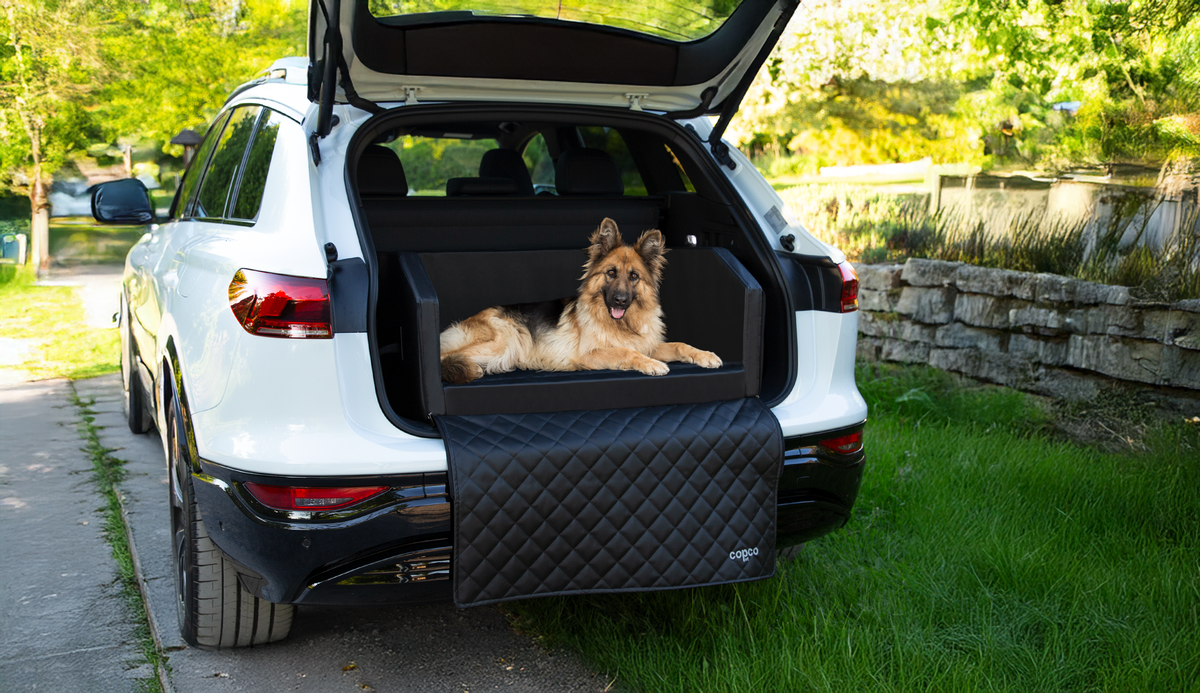 Hundebetten fürs Auto