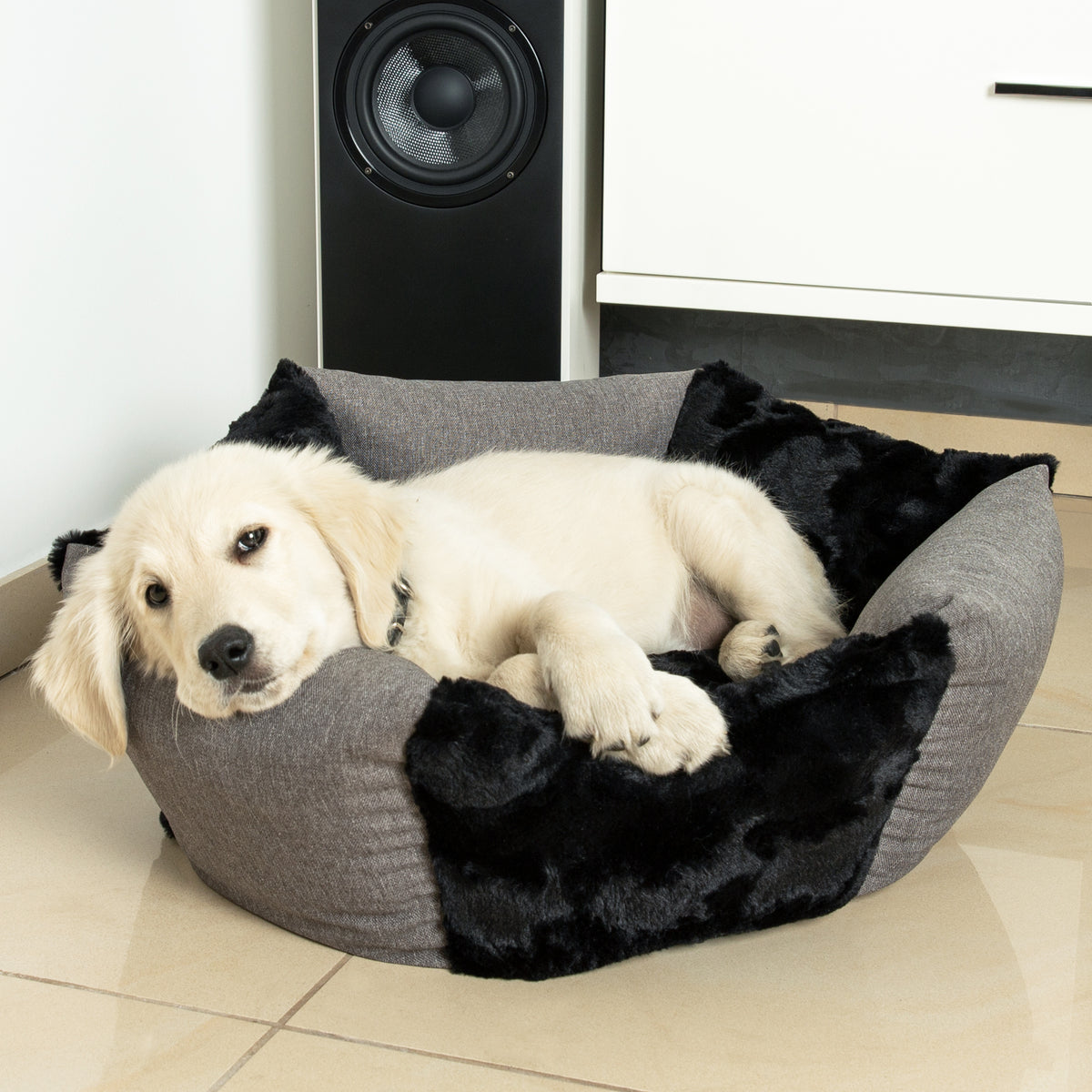 Hundekörbchen Sunny – rundes kuscheliges Hundebett für kleine Hunde aus Mikrofaser, waschbar & rutschfest